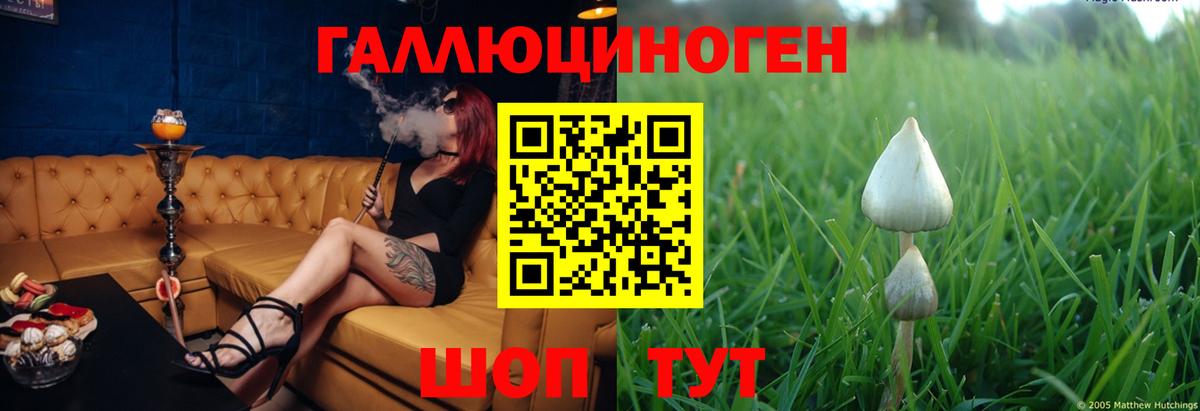 Псилоцибиновые грибы Cubensis  Вход с VPN  закладки  Мурманск 
